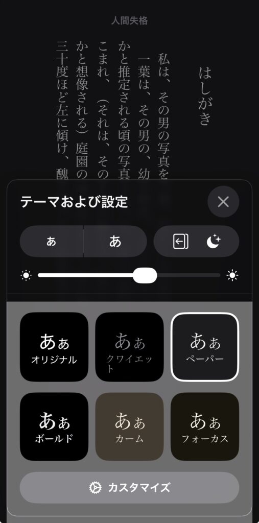 Apple Books テーマ表示